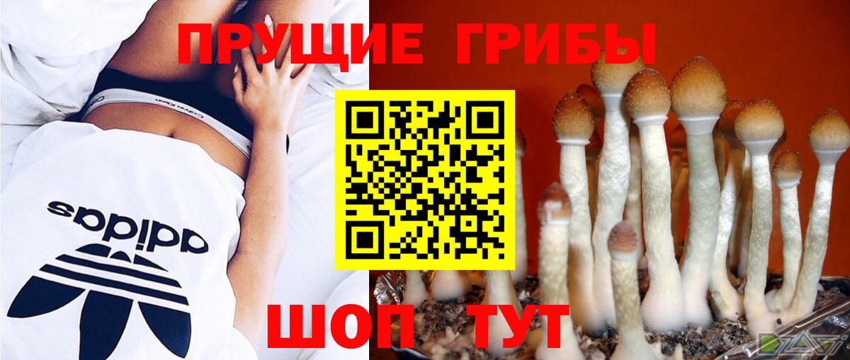 Кимовск  Галлюциногенные грибы Magic Shrooms  Вход с VPN  Псилоцибиновые грибы мицелий 